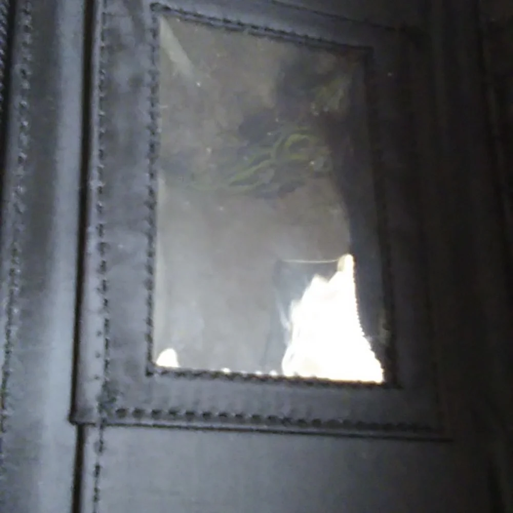 Ladies Wallet - Picture 7 of 12